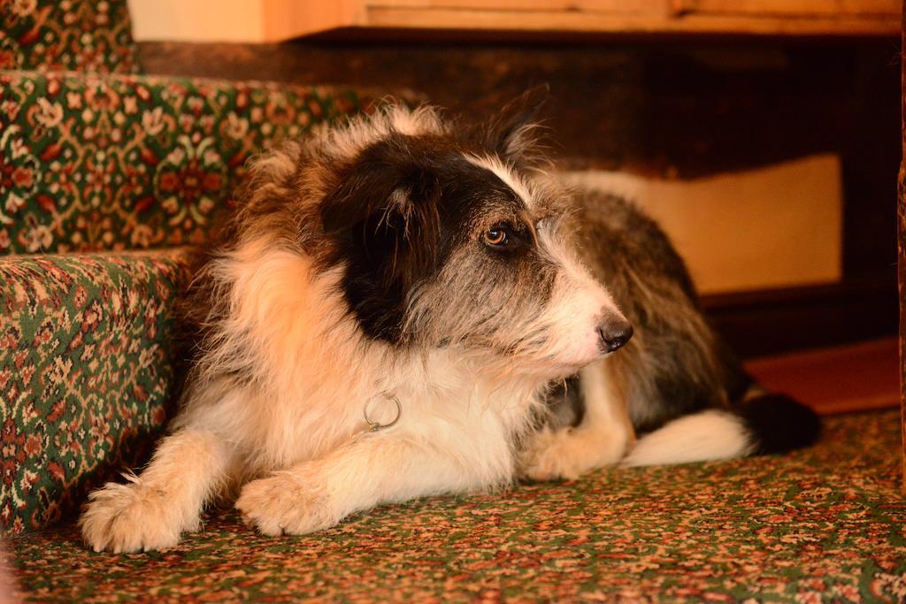 Badgers Hall Chipping Campden Kültér fotó