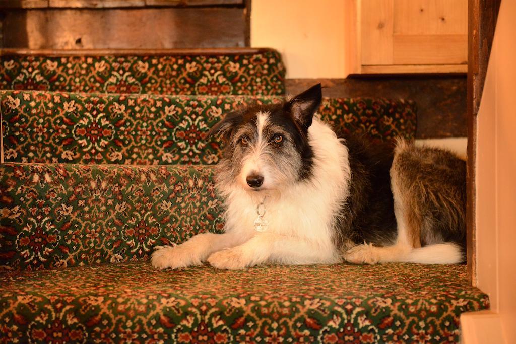 Badgers Hall Chipping Campden Kültér fotó